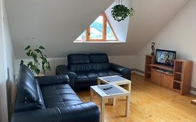 Apartmán pod Lázněma